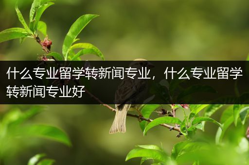 什么专业留学转新闻专业，什么专业留学转新闻专业好