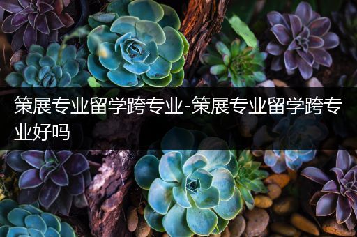 策展专业留学跨专业-策展专业留学跨专业好吗