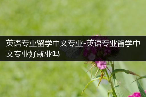 英语专业留学中文专业-英语专业留学中文专业好就业吗