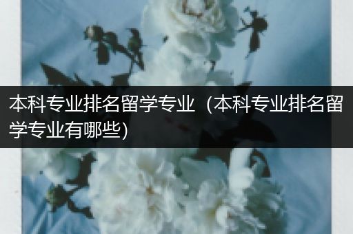 本科专业排名留学专业（本科专业排名留学专业有哪些）