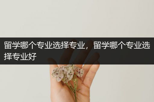 留学哪个专业选择专业，留学哪个专业选择专业好