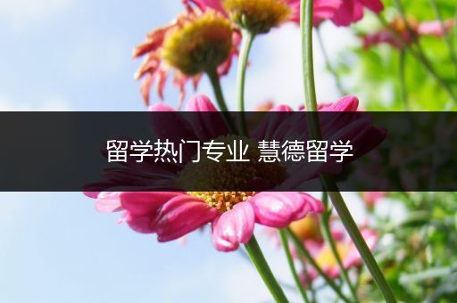 留学热门专业 慧德留学