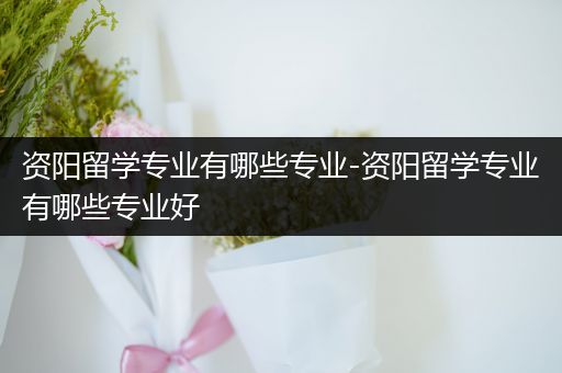 资阳留学专业有哪些专业-资阳留学专业有哪些专业好