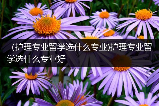 （护理专业留学选什么专业)护理专业留学选什么专业好