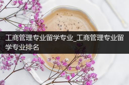 工商管理专业留学专业_工商管理专业留学专业排名