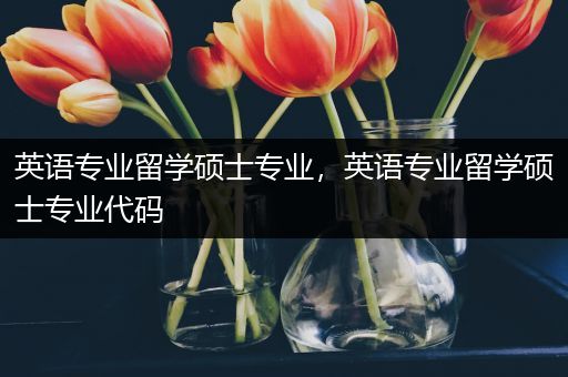 英语专业留学硕士专业，英语专业留学硕士专业代码