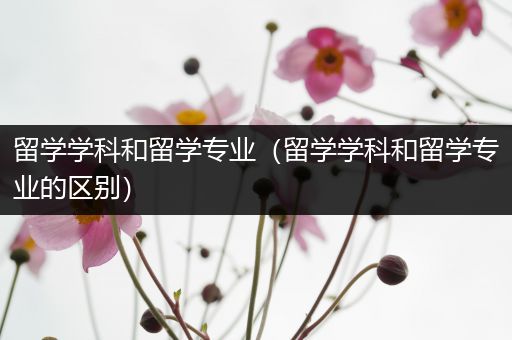 留学学科和留学专业（留学学科和留学专业的区别）