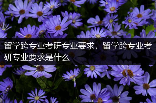 留学跨专业考研专业要求，留学跨专业考研专业要求是什么