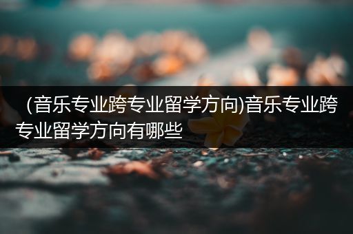 （音乐专业跨专业留学方向)音乐专业跨专业留学方向有哪些