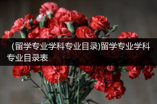 （留学专业学科专业目录)留学专业学科专业目录表