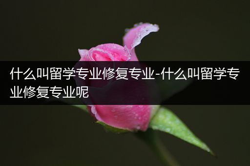 什么叫留学专业修复专业-什么叫留学专业修复专业呢