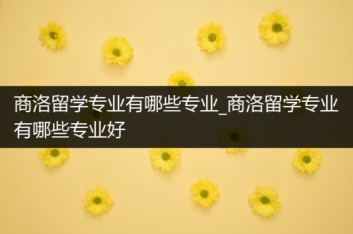 商洛留学专业有哪些专业_商洛留学专业有哪些专业好