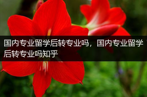 国内专业留学后转专业吗，国内专业留学后转专业吗知乎