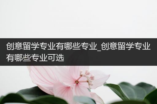 创意留学专业有哪些专业_创意留学专业有哪些专业可选