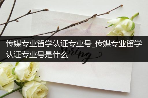 传媒专业留学认证专业号_传媒专业留学认证专业号是什么