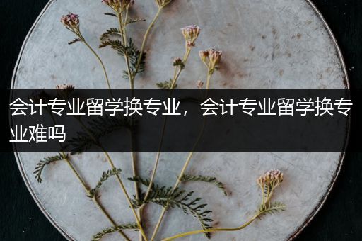 会计专业留学换专业，会计专业留学换专业难吗