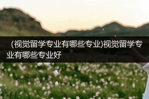 （视觉留学专业有哪些专业)视觉留学专业有哪些专业好