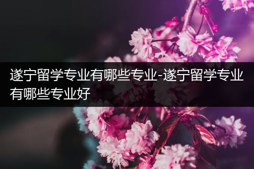 遂宁留学专业有哪些专业-遂宁留学专业有哪些专业好