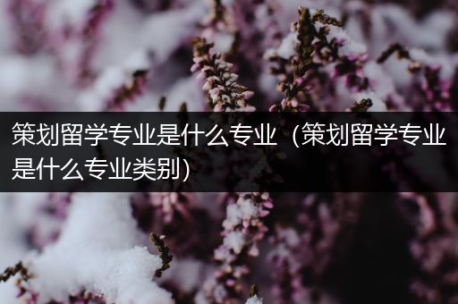 策划留学专业是什么专业（策划留学专业是什么专业类别）