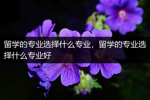 留学的专业选择什么专业，留学的专业选择什么专业好