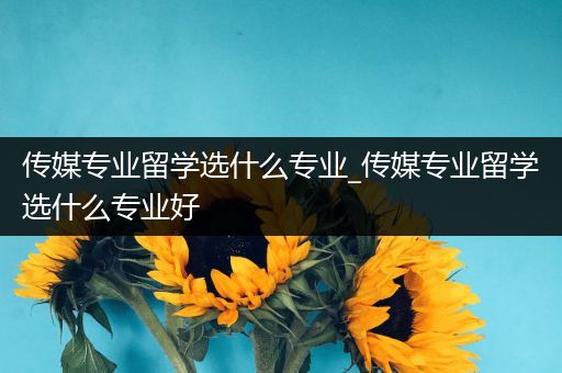 传媒专业留学选什么专业_传媒专业留学选什么专业好