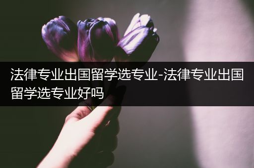 法律专业出国留学选专业-法律专业出国留学选专业好吗