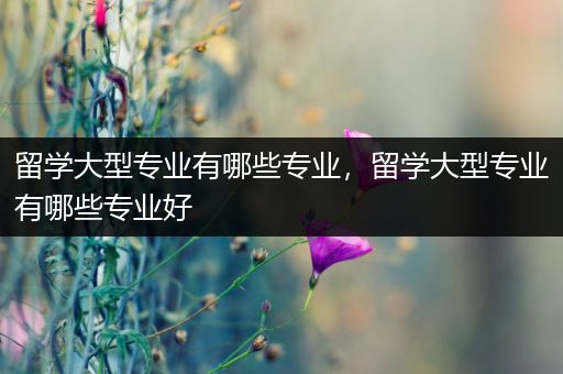 留学大型专业有哪些专业，留学大型专业有哪些专业好