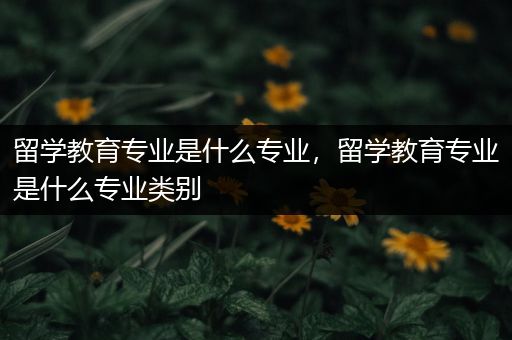 留学教育专业是什么专业，留学教育专业是什么专业类别