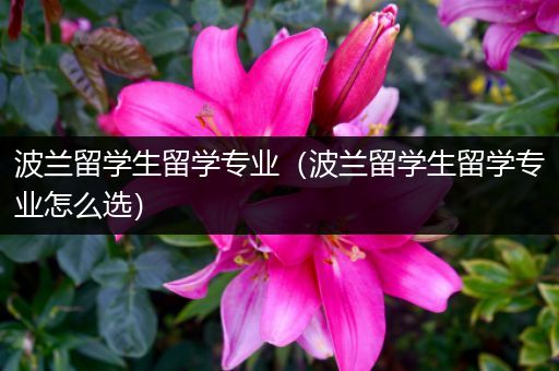 波兰留学生留学专业（波兰留学生留学专业怎么选）