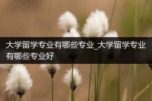 大学留学专业有哪些专业_大学留学专业有哪些专业好