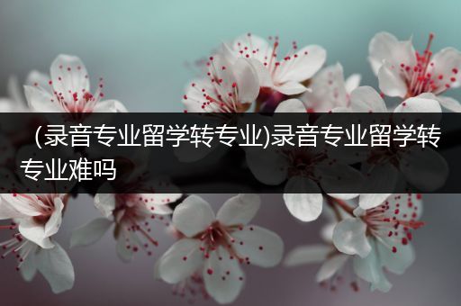 （录音专业留学转专业)录音专业留学转专业难吗