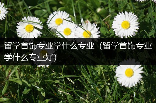 留学首饰专业学什么专业（留学首饰专业学什么专业好）