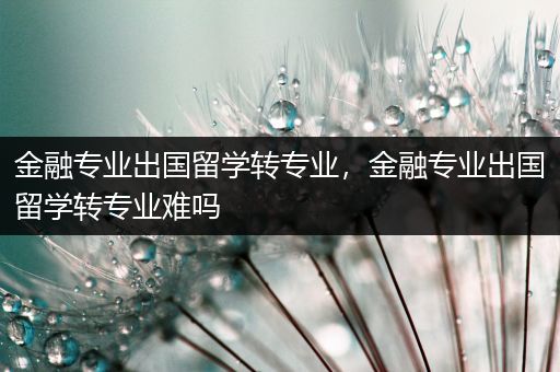 金融专业出国留学转专业，金融专业出国留学转专业难吗