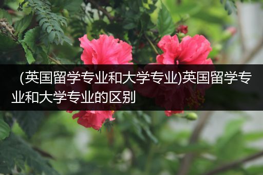 （英国留学专业和大学专业)英国留学专业和大学专业的区别