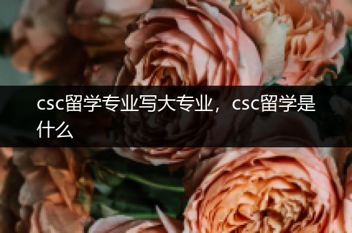 csc留学专业写大专业，csc留学是什么