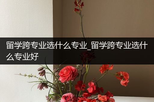 留学跨专业选什么专业_留学跨专业选什么专业好