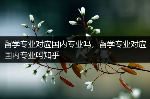 留学专业对应国内专业吗，留学专业对应国内专业吗知乎