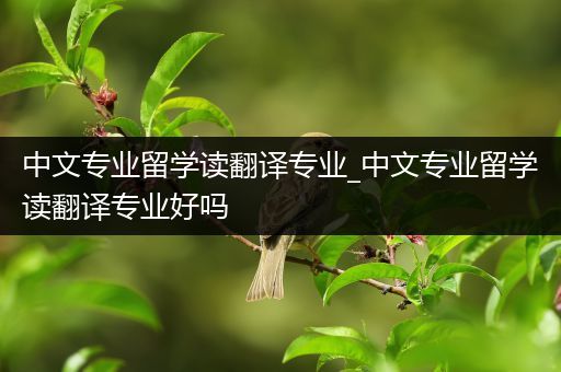 中文专业留学读翻译专业_中文专业留学读翻译专业好吗