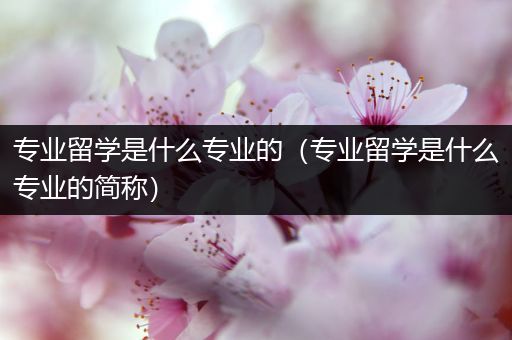 专业留学是什么专业的（专业留学是什么专业的简称）