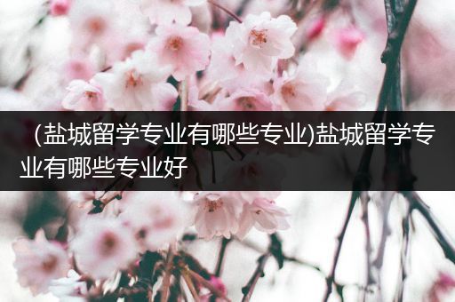 （盐城留学专业有哪些专业)盐城留学专业有哪些专业好