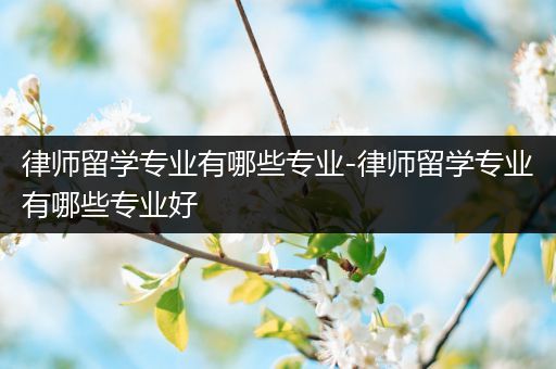 律师留学专业有哪些专业-律师留学专业有哪些专业好