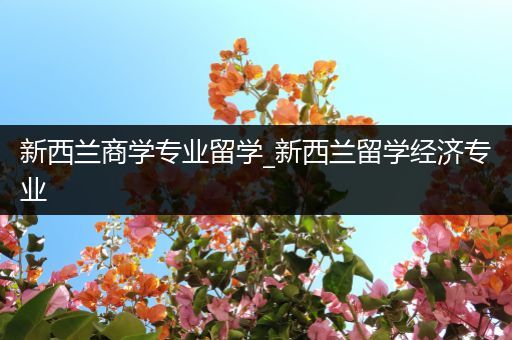 新西兰商学专业留学_新西兰留学经济专业