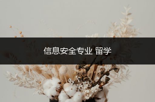 信息安全专业 留学