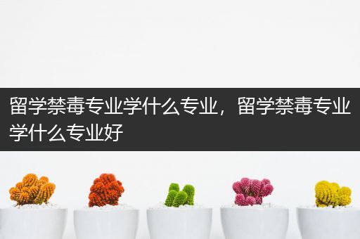 留学禁毒专业学什么专业，留学禁毒专业学什么专业好