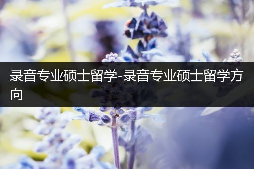 录音专业硕士留学-录音专业硕士留学方向