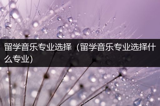 留学音乐专业选择（留学音乐专业选择什么专业）