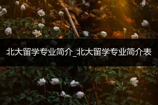 北大留学专业简介_北大留学专业简介表