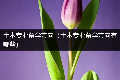 土木专业留学方向（土木专业留学方向有哪些）