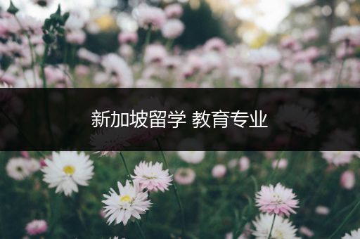 新加坡留学 教育专业