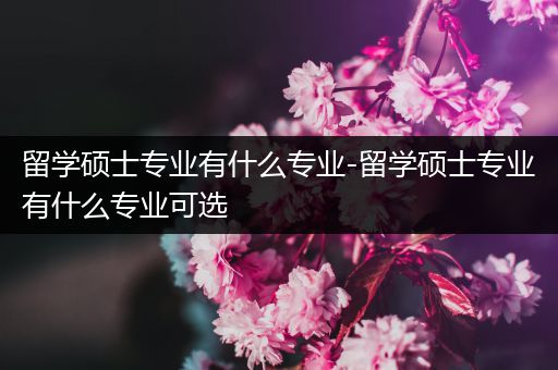 留学硕士专业有什么专业-留学硕士专业有什么专业可选